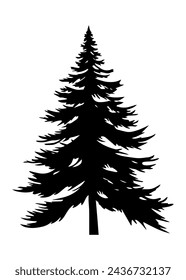 Fir trees silhouette. Black silhouette of sine tree on white background. Vector illustration