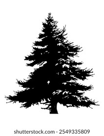 Silueta de abetos. Silueta negra del árbol sinuoso en el fondo blanco. Ilustración vectorial
