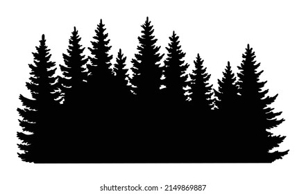 Fir trees silhouette. Coniferous spruce horizontal background pattern, black evergreen woods vector illustration. Beautiful hand drawn panorama with treetops forest