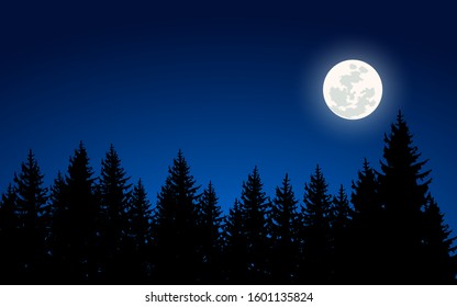Fir trees silhouette in moonlight 