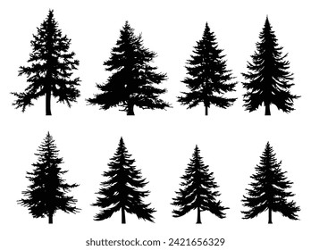 Fir trees silhouette set. Black silhouettes of sine trees on white background. Vector illustration