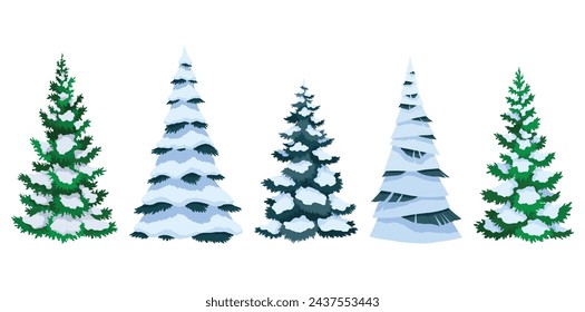 Fir trees with snow collection. Winter snow-covered spruces set. Green fluffy pines isolated on white background