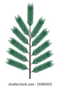 fir twig