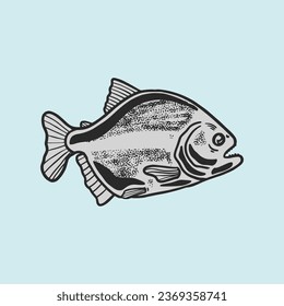 firanha pomfret fish hand drawn vector illustration