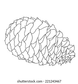 Fir-cone isolated on white background. Black and white vector illustration.