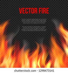 Fire background. Light of blazing flame on transparent background vector explosion vector template