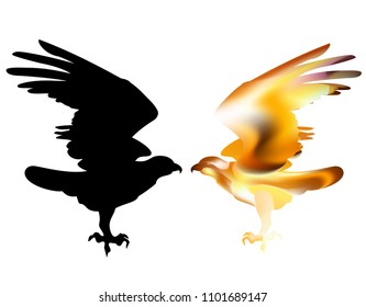 Fire bird eagle in flight as a symbol of power and freedom.