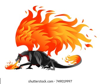 fire black dragon