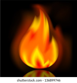 Fire, bright flame on black background. Vector illustration 10eps