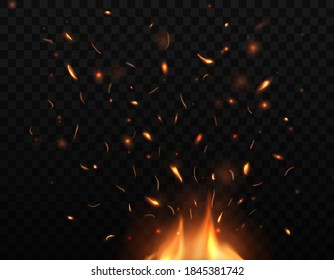 Fire, burning bonfire with sparks and embers flying up, vector glowing flame with particles. Realistic 3d blaze fire with sparks flying in air. Firestorm, inferno, balefire isolated on dark background