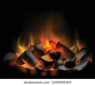 Fire from burning coals on black background.vector image