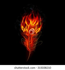 Fire burning peacock feather with black background. vector