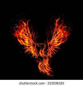 Fire burning Phoenix Bird with black background. vector