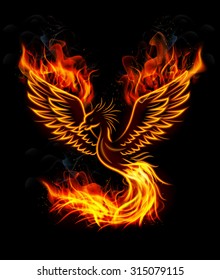 Fire burning Phoenix Bird with black background. Vector