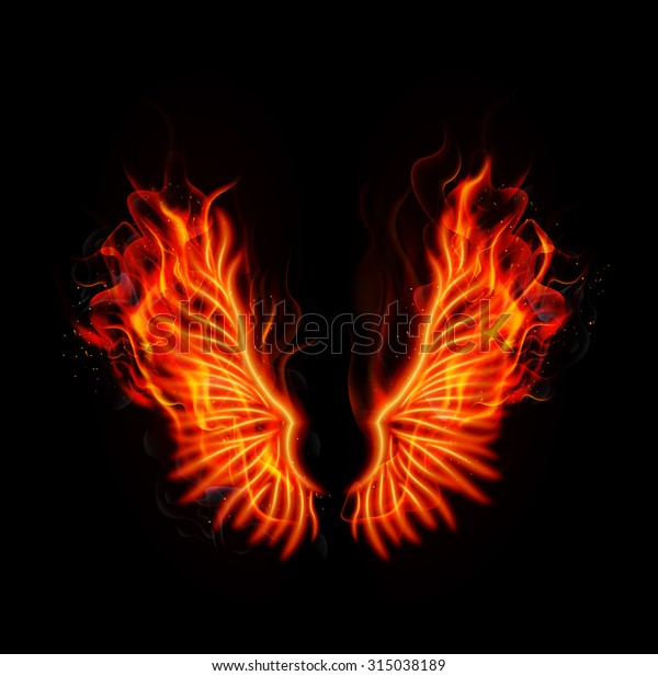 Fire Burning Wings Vector Stock Vector (Royalty Free) 315038189