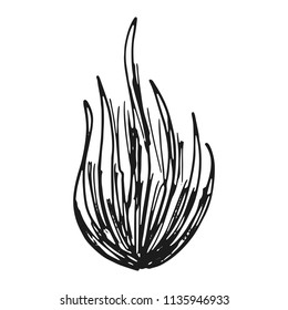 the fire burns monochrome. isolated.