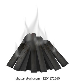 Fire burnt icon. Realistic illustration of fire burnt vector icon for web design