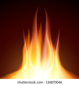 Fire flame burn on black background