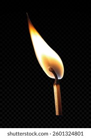 Fire flame effect, bonfire, realistic silhouette of match or torch flame. Lights and flames design on transparent background vector, png.