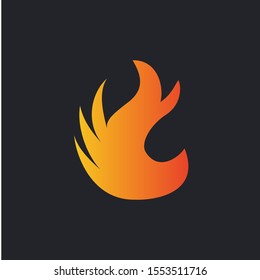 Fire Flame icon Logo design vector template
