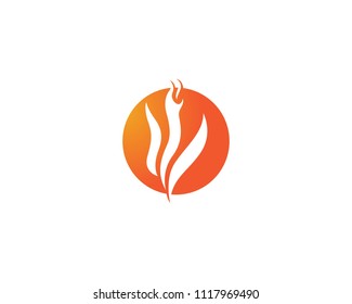 Fire And Flame Logo Symbols
