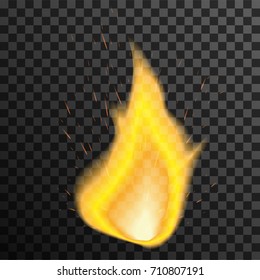 Fire flame on transparent background. Vector illustration