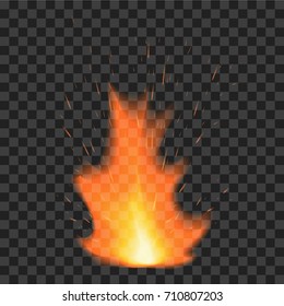 Fire flame on transparent background. Vector illustration