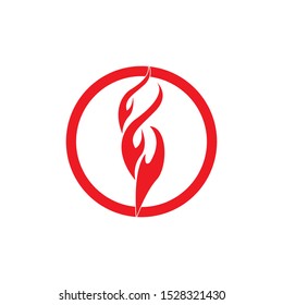 Fire flame vector illustration design template