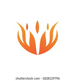 Fire flame vector illustration design template