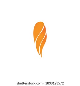 Fire flame vector illustration design template