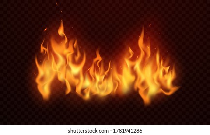 real flame vector