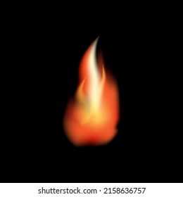 Las llamas del fuego aisladas en el fondo negro.