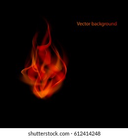 Fire flames isolated on dark background. Vector illustration