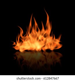 Fire flames isolated on dark background. vector illustration