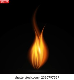 Fire flames isolated on transparent background. Vector realistic special effect. Vector illustration EPS10