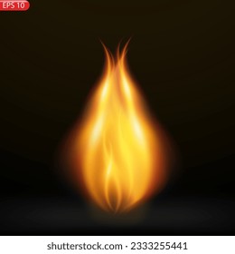 Fire flames isolated on transparent background. Vector realistic special effect