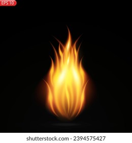 Las llamas del fuego aisladas en un fondo transparente. Efecto especial realista del vector