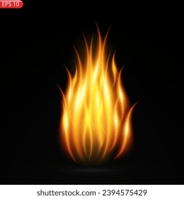 Fire flames isolated on transparent background. Vector realistic special effect
