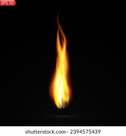 Fire flames isolated on transparent background. Vector realistic special effect