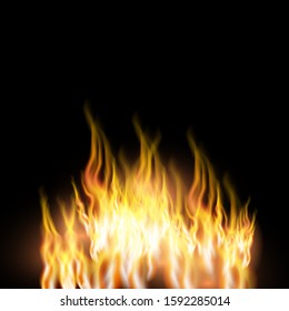 Fire flames on black background.
