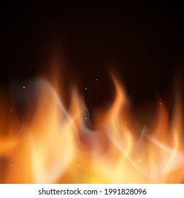 Fire flames on a black background. Colorful vector illustration.