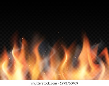 Fire flames on a black background. Colorful vector illustration.