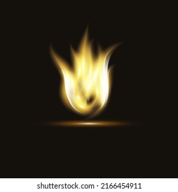 Fire flames on a black background.