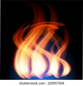 Fire Flames on the black background