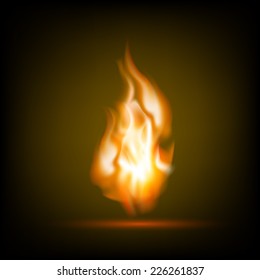 Fire flames on a black background