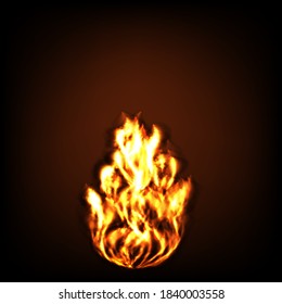 Fire flames vector illustration. Bright birning flame isolated on dark. Realistic fire blaze.