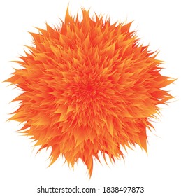 fire flower isolated on white background