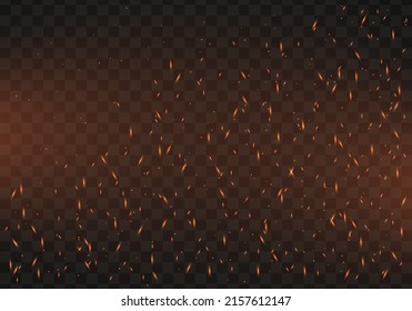 Fire flying sparks on background. Realistic fire, smoke, and sparks. Vector illustration.