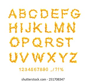 fire fonts. ABC flame letters isolated on white background. Vector illustration