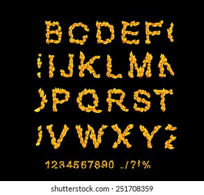 fire fonts. ABC flame letters isolated on black background. Vector illustration